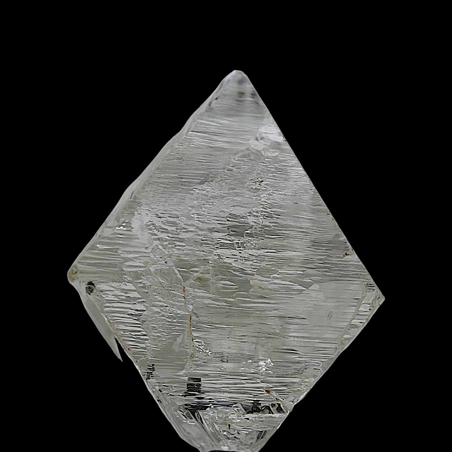 Parfait Diamant ovale D Impeccable de 1,29 carat | Joyaux™ Genève : Splendeur éternelle