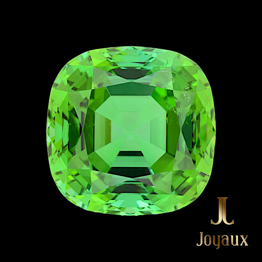 Discover the splendid 54.45 ct Blue Green Tourmaline from Joyaux™ Genève, a certified gem of unparalleled beauty and rarity. Available in Geneva upon request, this exceptional gemstone offers unique investment potential and bespoke jewelry creations tailored to your style. Contact us to schedule a private viewing.