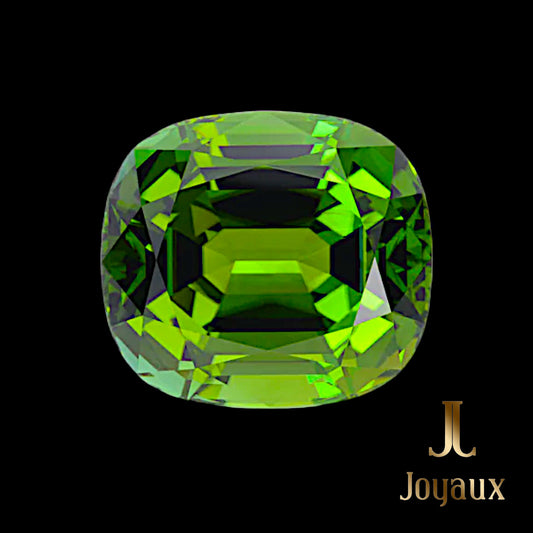In the mystical heart of Mozambique, where ancient riverbeds cradle secrets of a bygone era, lies a gemstone of legendary splendor. The 79.91 ct Bluish Green Tourmaline from Joyaux™ Genève is not just a gem but an epic tale of the earth’s artistry, a beacon of nature’s untamed beauty. This rectangular cushion-cut wonder, with dimensions of 27.50 x 23.70 x 17.80 mm, radiates a mesmerizing bluish-green hue, evoking the tranquil depths of enchanted lagoons.